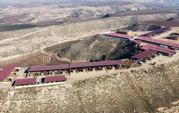 Explotación ganadera Ballesté