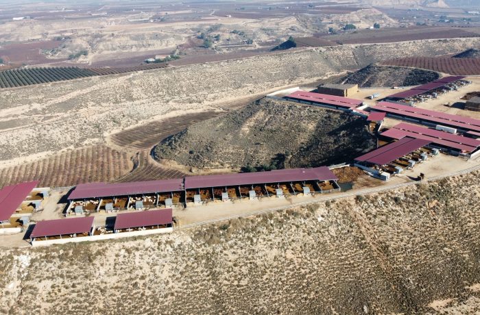 Explotación ganadera Ballesté