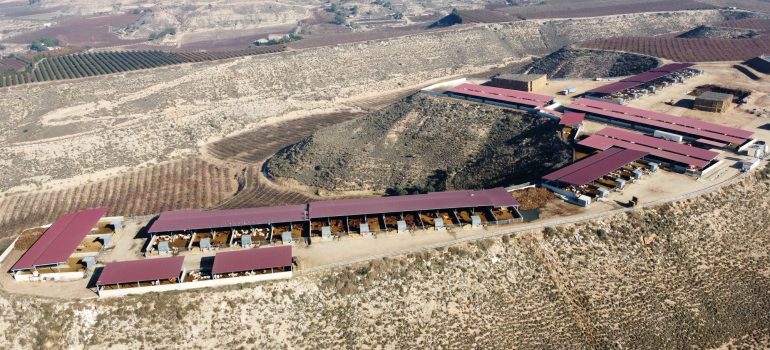 Explotación ganadera Ballesté