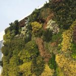 asofubre-jardin-vertical