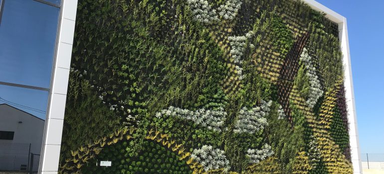 Asofrube – PLFraga